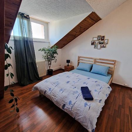Nice Room 4 Minutes From Basel Shared Apartment サン・ルイ エクステリア 写真