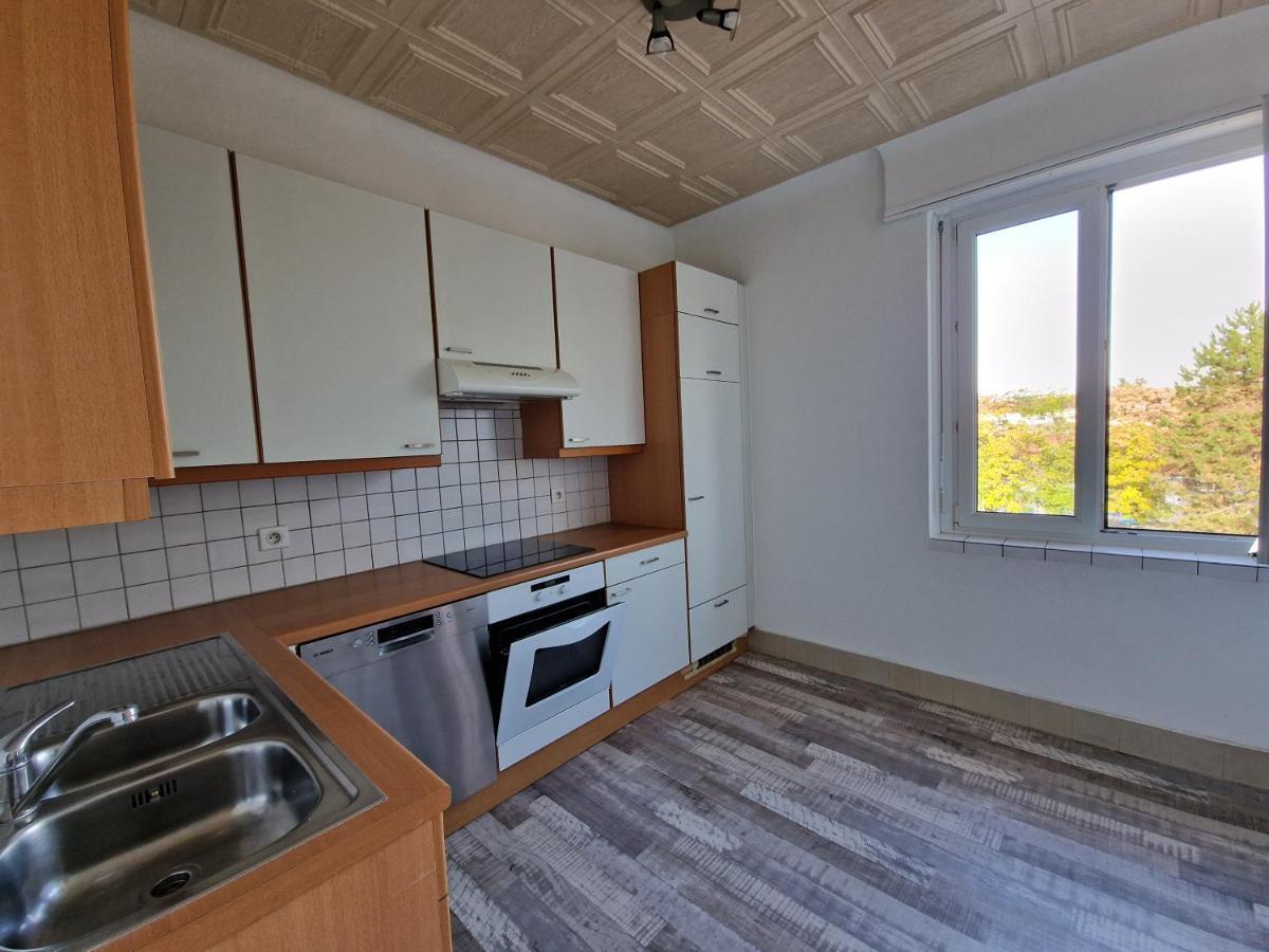 Nice Room 4 Minutes From Basel Shared Apartment サン・ルイ エクステリア 写真