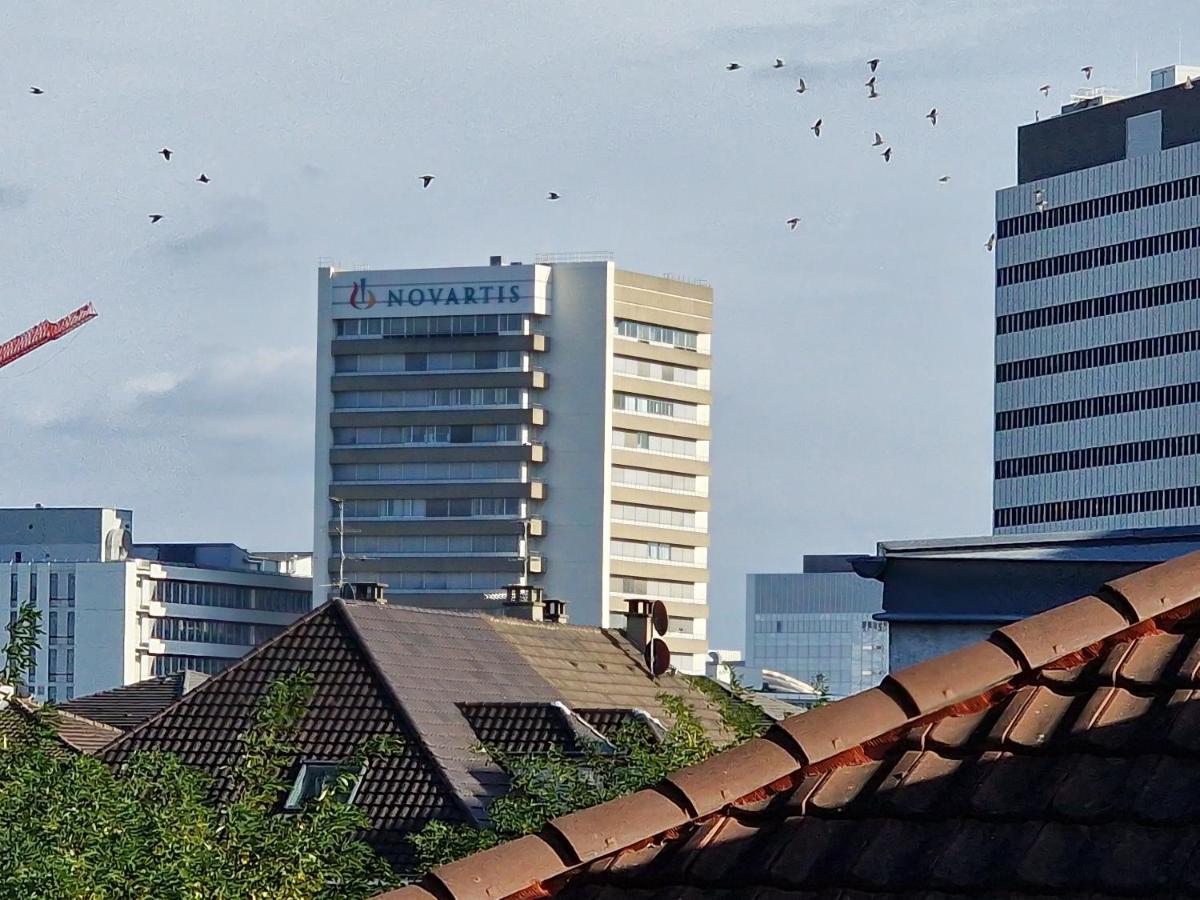 Nice Room 4 Minutes From Basel Shared Apartment サン・ルイ エクステリア 写真