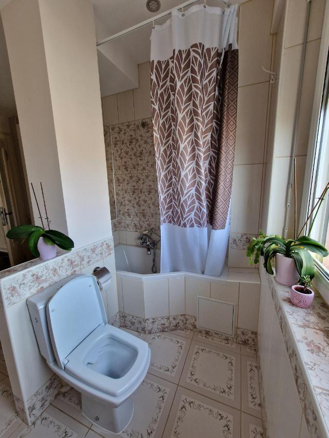 Nice Room 4 Minutes From Basel Shared Apartment サン・ルイ エクステリア 写真