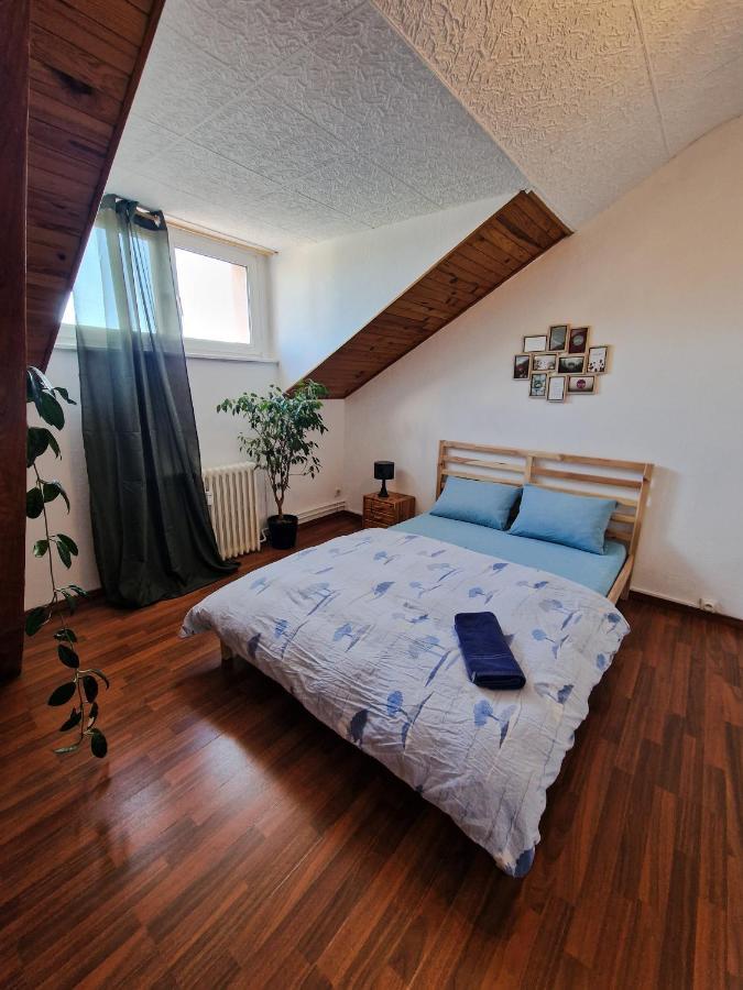 Nice Room 4 Minutes From Basel Shared Apartment サン・ルイ エクステリア 写真