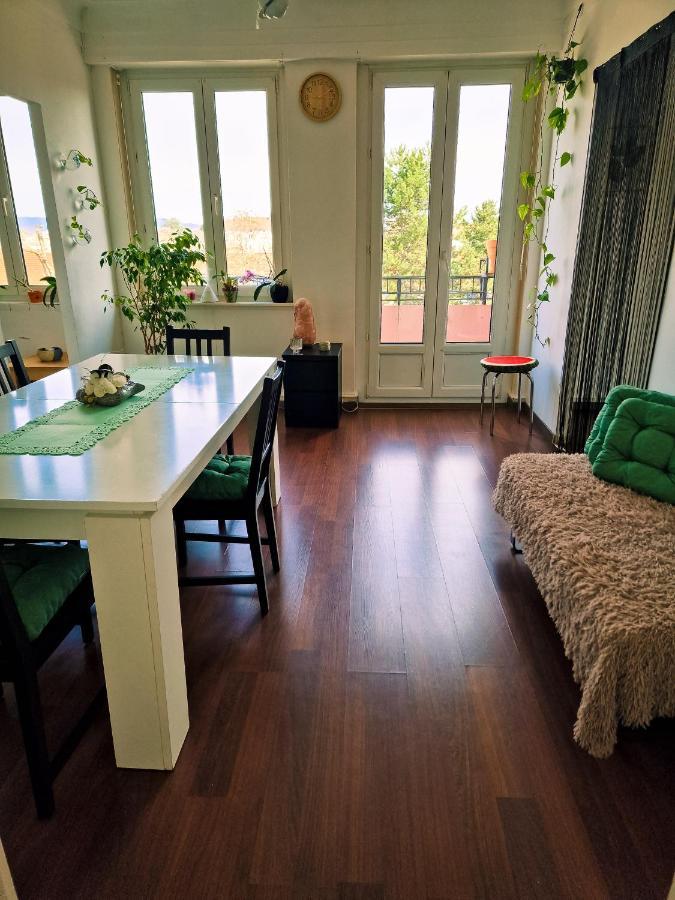 Nice Room 4 Minutes From Basel Shared Apartment サン・ルイ エクステリア 写真