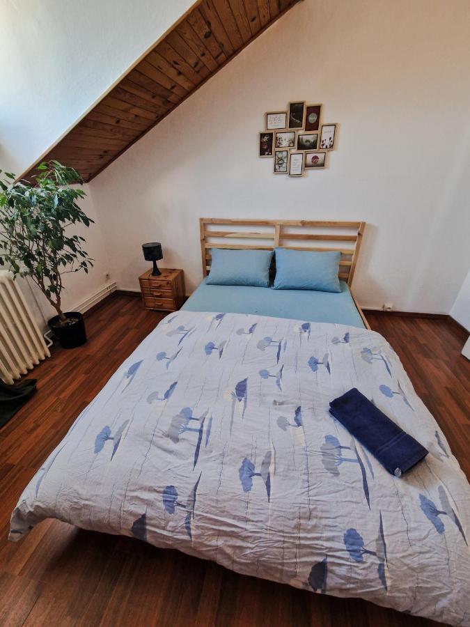 Nice Room 4 Minutes From Basel Shared Apartment サン・ルイ エクステリア 写真