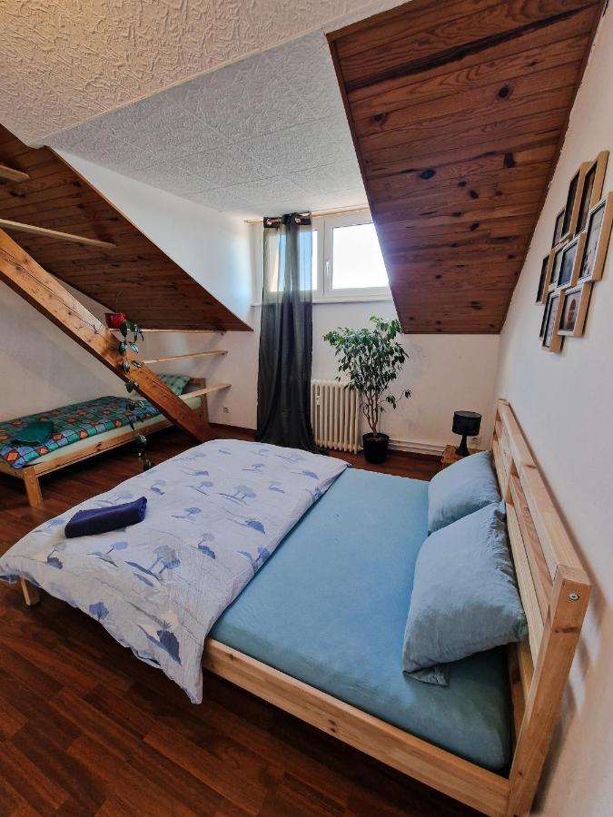 Nice Room 4 Minutes From Basel Shared Apartment サン・ルイ エクステリア 写真